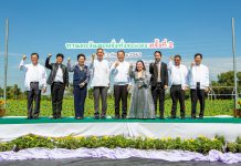 “ซีพีแรม” เปิดแลนด์มาร์คปทุมธานี ส่งเสริมการท่องเที่ยววิถีชุมชน และกระตุ้นเศรษฐกิจฐานราก จัดงาน “ทานตะวันสะพรั่งทั่วระแหง” ต่อเนื่องเป็นครั้งที่ 2