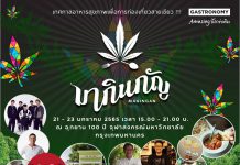 ททท. จัดกิจกรรม “มากินกัญ” เทศกาลอาหารสุขภาพเพื่อการท่องเที่ยวสายเขียว ชูเทรนด์ ‘กัญชา-กัญชง’