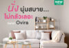 How to…เลือก “SOFA” ฟีล SO…Good นวัตกรรมโซฟาผ้า “EASY Clean” นุ่มสบาย ไม่กลัวเลอะ ที่ Index Living Mall