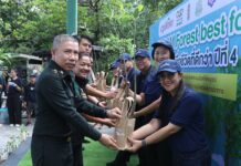 ซีพีแรม (ลาดกระบัง) ลุยปลูกป่าตามแนวชายฝั่งกว่า 20,000 ต้น หวังเพิ่มพื้นที่ป่าชายเลน และลดโลกร้อนอย่างต่อเนื่อง