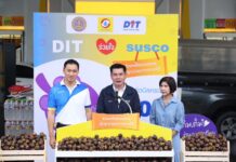 “พาณิชย์” Kick off ช่วยเกษตรกรไทยผู้ปลูกมังคุด กรมการค้าภายใน จับมือ 4 ปั๊มใหญ่ ซื้อมังคุดกว่า1,000 ตัน แจกสมนาคุณผู้เติมน้ำมัน