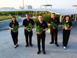 ธพส. ขับเคลื่อน “เมืองคาร์บอนต่ำที่ทำงานร่วมกับธรรมชาติ” สู่ต้นแบบ “ศูนย์ราชการแห่งศตวรรษที่ 21”