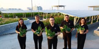 ธพส. ขับเคลื่อน “เมืองคาร์บอนต่ำที่ทำงานร่วมกับธรรมชาติ” สู่ต้นแบบ “ศูนย์ราชการแห่งศตวรรษที่ 21”