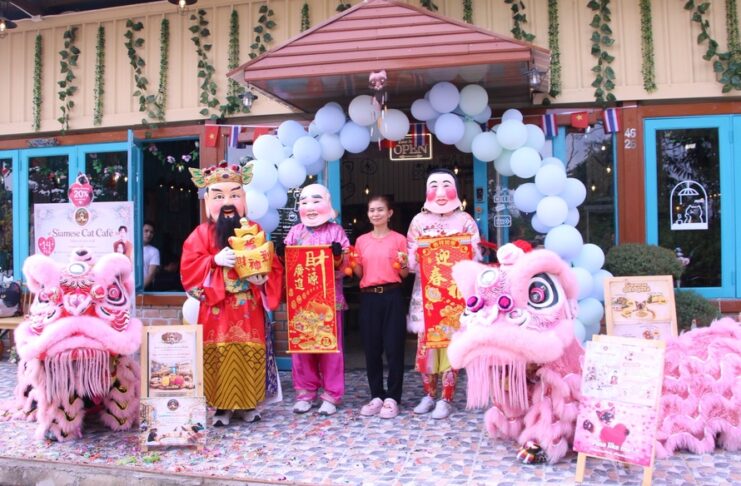 Siamese Cat Cafe เปิดตัวยิ่งใหญ่รับวาเลนไทน์ ใกล้เมกาบางนา รวมคาเฟ่สัตว์–อาหาร 3 วัฒนธรรม