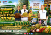 พาณิชย์ลุยแคมเปญ Thailand : The Land of Tropical Fruits 2026 ดึงตลาดกลาง–ตลาดสดร่วมกระจายผลผลิต 1,000 ตัน หนุนรายได้เกษตรกร