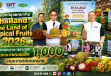 พาณิชย์ลุยแคมเปญ Thailand : The Land of Tropical Fruits 2026 ดึงตลาดกลาง–ตลาดสดร่วมกระจายผลผลิต 1,000 ตัน หนุนรายได้เกษตรกร