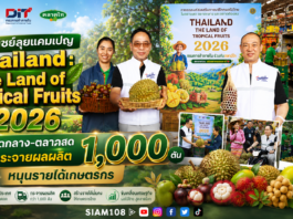 พาณิชย์ลุยแคมเปญ Thailand : The Land of Tropical Fruits 2026 ดึงตลาดกลาง–ตลาดสดร่วมกระจายผลผลิต 1,000 ตัน หนุนรายได้เกษตรกร