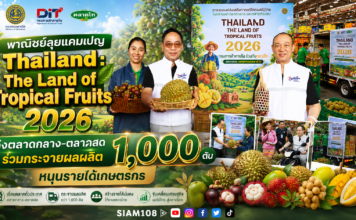 พาณิชย์ลุยแคมเปญ Thailand : The Land of Tropical Fruits 2026 ดึงตลาดกลาง–ตลาดสดร่วมกระจายผลผลิต 1,000 ตัน หนุนรายได้เกษตรกร