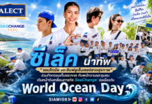 ซีเล็ค นำทัพ “แอนโทเนีย และอินฟลูเอ็นเซอร์สายสุขภาพ“ ร่วมกิจกรรมเก็บขยะทะเล กับพนักงานและชุมชนเดินหน้าขับเคลื่อนภารกิจ SeaChange® ต่อเนื่องวัน World Ocean Day