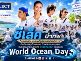 ซีเล็ค นำทัพ “แอนโทเนีย และอินฟลูเอ็นเซอร์สายสุขภาพ“ ร่วมกิจกรรมเก็บขยะทะเล กับพนักงานและชุมชนเดินหน้าขับเคลื่อนภารกิจ SeaChange® ต่อเนื่องวัน World Ocean Day