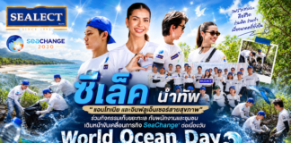 ซีเล็ค นำทัพ “แอนโทเนีย และอินฟลูเอ็นเซอร์สายสุขภาพ“ ร่วมกิจกรรมเก็บขยะทะเล กับพนักงานและชุมชนเดินหน้าขับเคลื่อนภารกิจ SeaChange® ต่อเนื่องวัน World Ocean Day