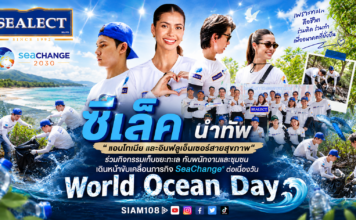 ซีเล็ค นำทัพ “แอนโทเนีย และอินฟลูเอ็นเซอร์สายสุขภาพ“ ร่วมกิจกรรมเก็บขยะทะเล กับพนักงานและชุมชนเดินหน้าขับเคลื่อนภารกิจ SeaChange® ต่อเนื่องวัน World Ocean Day