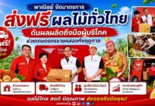 พาณิชย์งัดมาตรการส่งฟรีผลไม้ทั่วไทย ดันผลผลิตถึงมือผู้บริโภค ช่วยเกษตรกรขายคล่องทั้งฤดูกาล