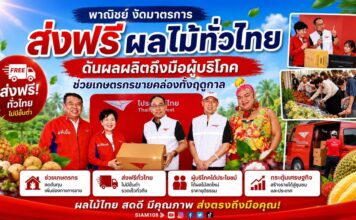 พาณิชย์งัดมาตรการส่งฟรีผลไม้ทั่วไทย ดันผลผลิตถึงมือผู้บริโภค ช่วยเกษตรกรขายคล่องทั้งฤดูกาล