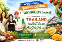 พาณิชย์ชวนอุดหนุนผลไม้ไทยที่ “ตลาดธันยา อ้อมใหญ่” ดันแคมเปญ Thailand : The Land of Tropical Fruits 2026 กระตุ้นบริโภคผลไม้ไทย สร้างรายได้ให้เกษตรกรทั่วประเทศ