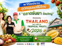 พาณิชย์ชวนอุดหนุนผลไม้ไทยที่ “ตลาดธันยา อ้อมใหญ่” ดันแคมเปญ Thailand : The Land of Tropical Fruits 2026 กระตุ้นบริโภคผลไม้ไทย สร้างรายได้ให้เกษตรกรทั่วประเทศ