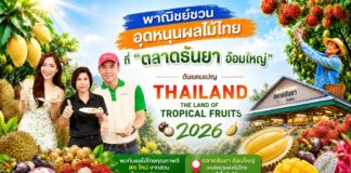 พาณิชย์ชวนอุดหนุนผลไม้ไทยที่ “ตลาดธันยา อ้อมใหญ่” ดันแคมเปญ Thailand : The Land of Tropical Fruits 2026 กระตุ้นบริโภคผลไม้ไทย สร้างรายได้ให้เกษตรกรทั่วประเทศ