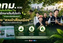 กทม. ชวนปลูกต้นไม้ใหม่ รักษาต้นไม้เก่า ตามหาต้นไม้มรดก สร้าง “สวนป่าล้อมเมือง” เชื่อมโครงข่ายสีเขียวทั่วกรุง