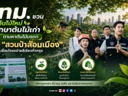 กทม. ชวนปลูกต้นไม้ใหม่ รักษาต้นไม้เก่า ตามหาต้นไม้มรดก สร้าง “สวนป่าล้อมเมือง” เชื่อมโครงข่ายสีเขียวทั่วกรุง