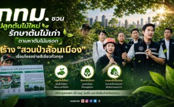 กทม. ชวนปลูกต้นไม้ใหม่ รักษาต้นไม้เก่า ตามหาต้นไม้มรดก สร้าง “สวนป่าล้อมเมือง” เชื่อมโครงข่ายสีเขียวทั่วกรุง
