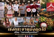 กรมการค้าภายใน เร่งกระจายมังคุดใต้ เชื่อม “ตลาดสี่มุมเมือง” สร้างดีมานด์สู่ช่องทางการตลาดสมัยใหม่