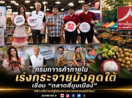 กรมการค้าภายใน เร่งกระจายมังคุดใต้ เชื่อม “ตลาดสี่มุมเมือง” สร้างดีมานด์สู่ช่องทางการตลาดสมัยใหม่